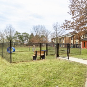 Fenced in dog park